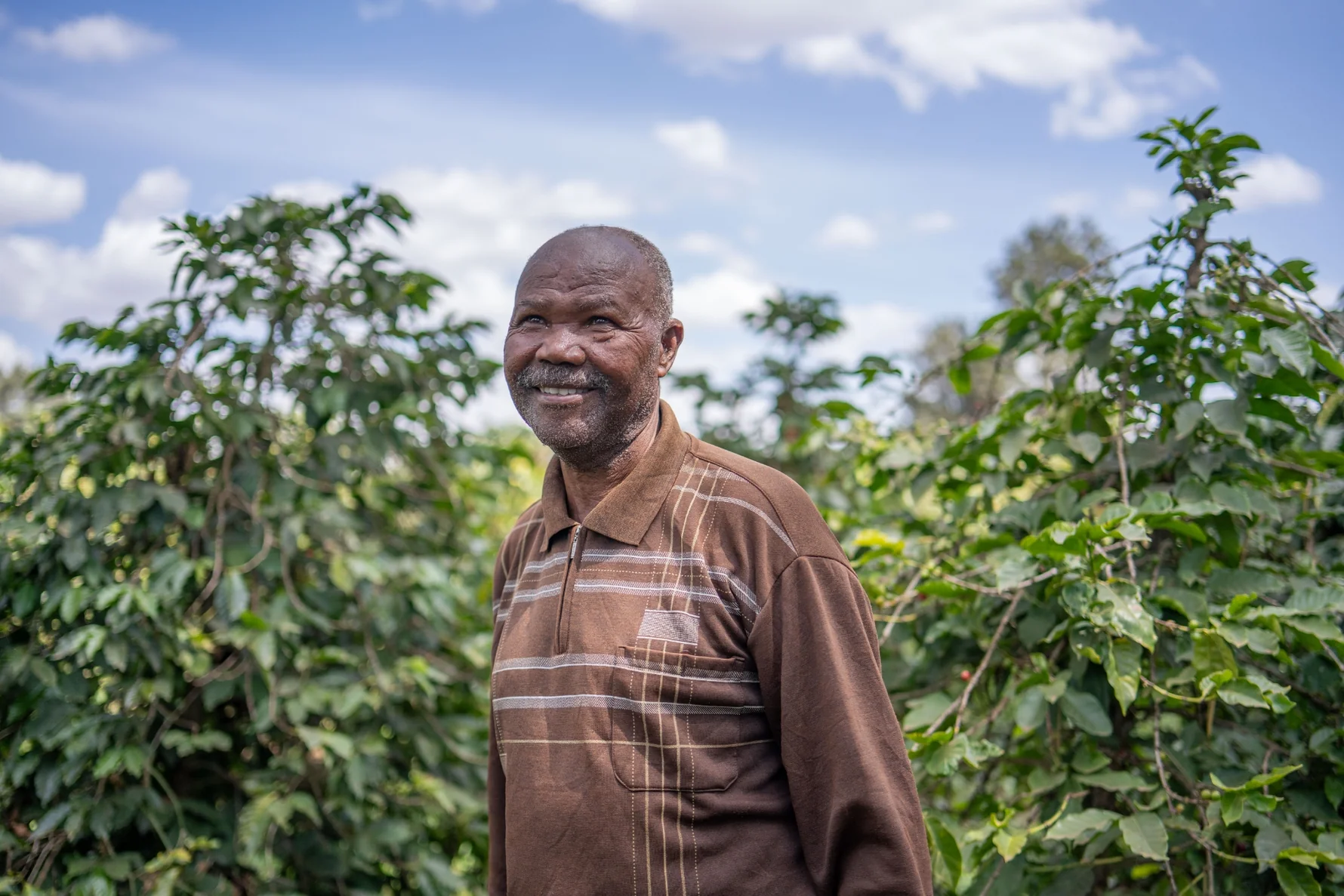 Sunset Coffee Uganda